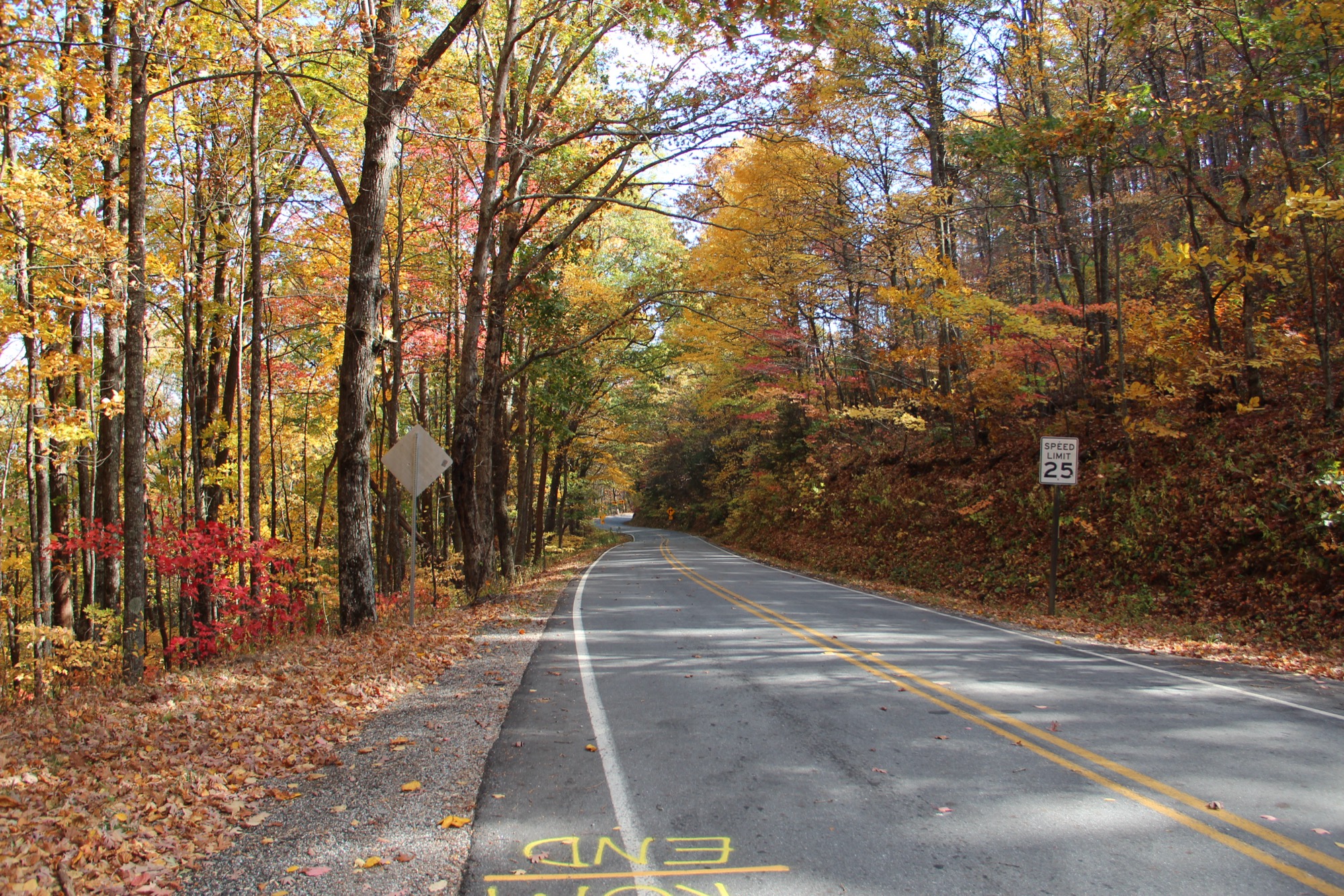 A canopied curve on GA-180 through Wolf Pen Gap in fall color