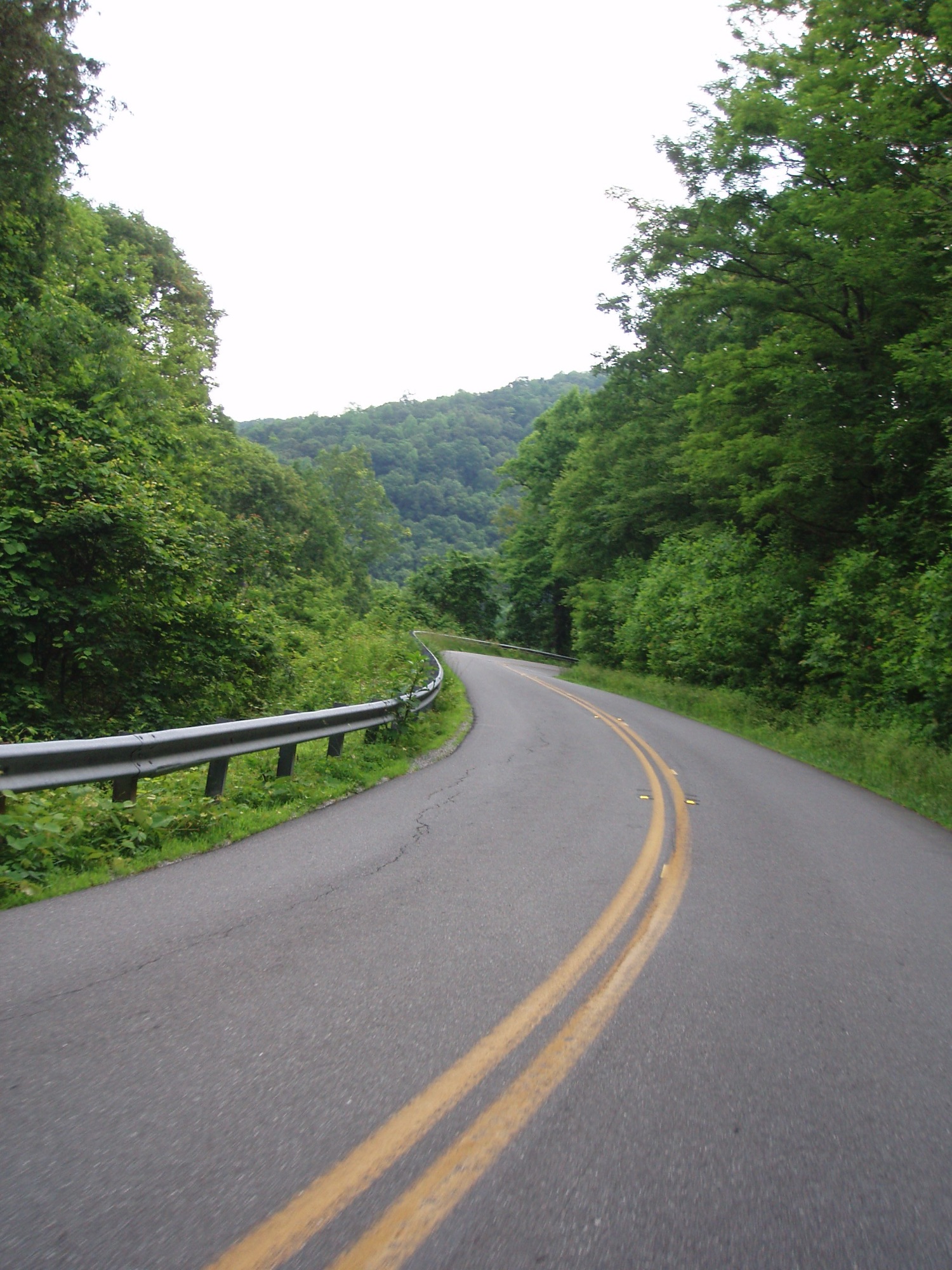 A sweeping curve on Wolf Pen Gap Road through the North Georgia forest, part of the Georgia Gauntlet