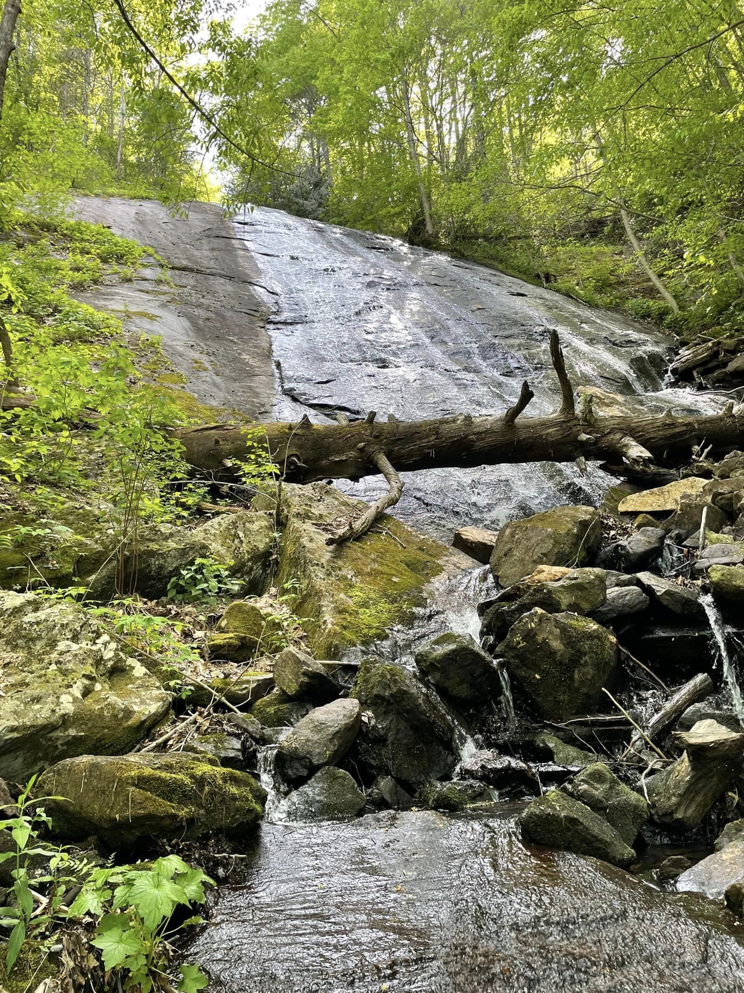 Waterfall along a North Georgia hiking trail near Blairsville