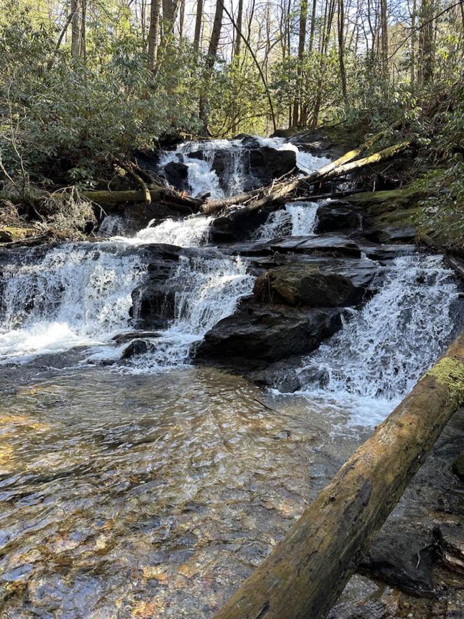 A North Georgia waterfall along a hiking trail near Misty Mountain