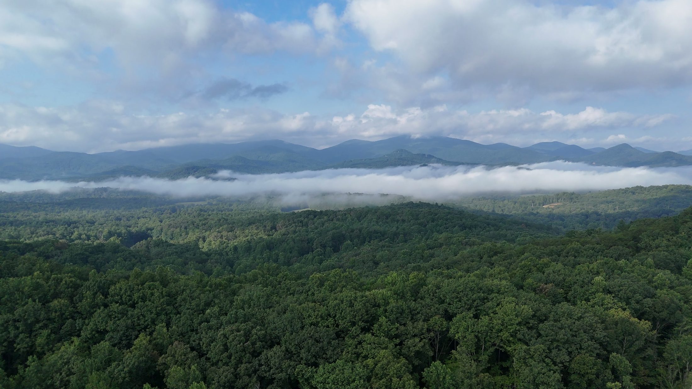 Layered Blue Ridge mountains above a band of valley fog