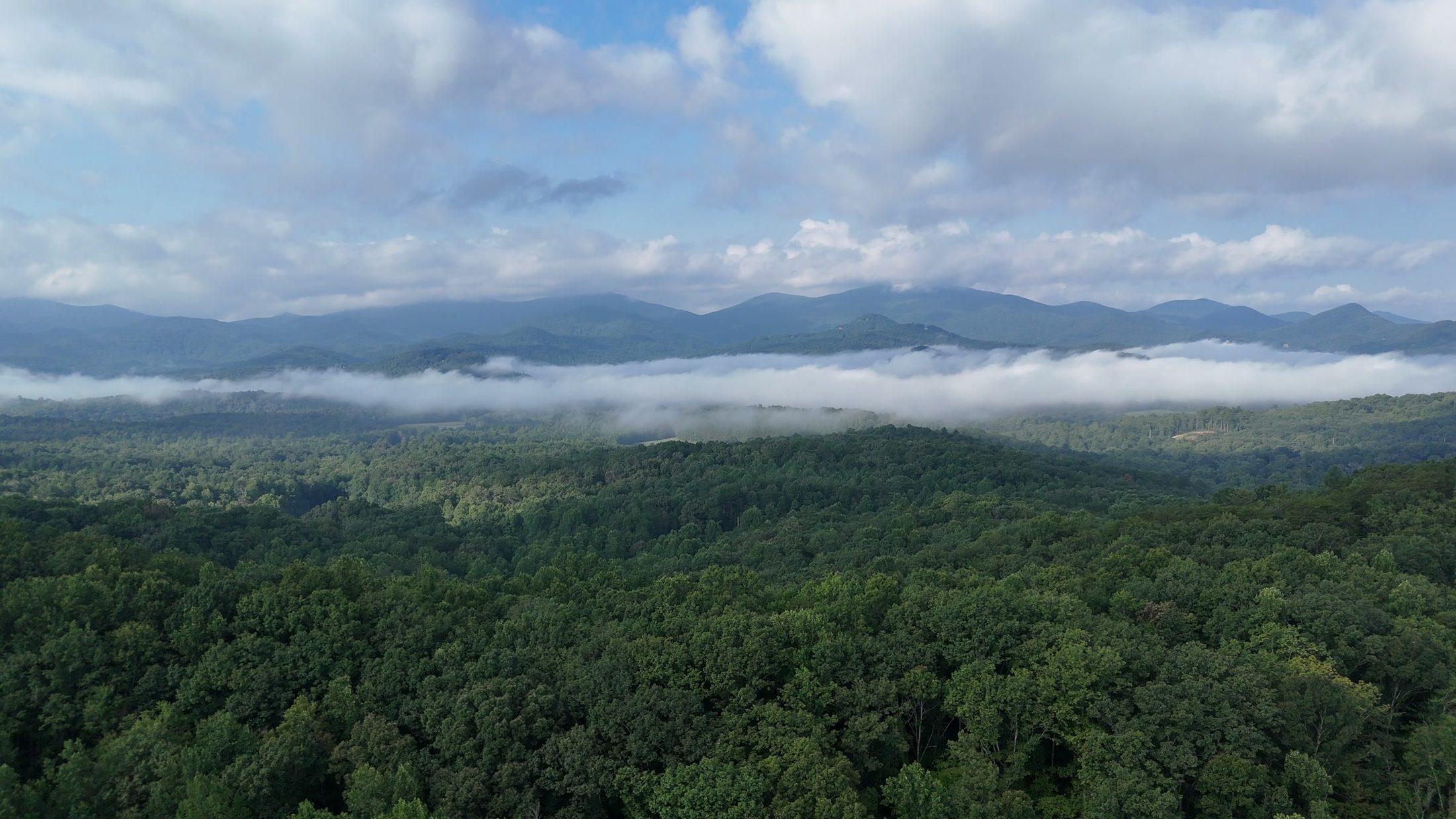 Fog lying across the valleys of the Blue Ridge mountains near Blairsville, Georgia
