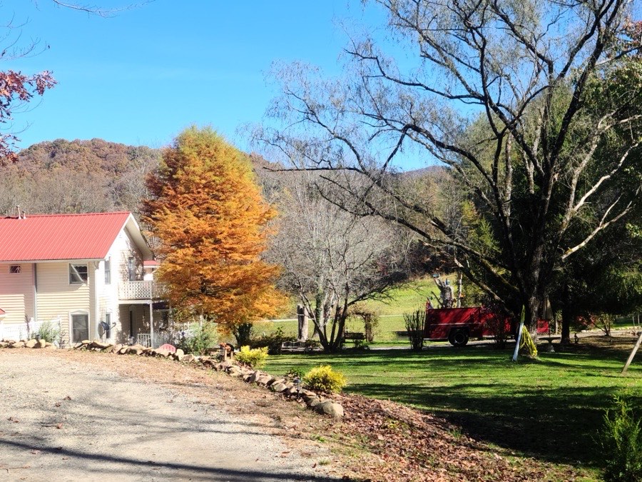 A walking trail through the wooded property